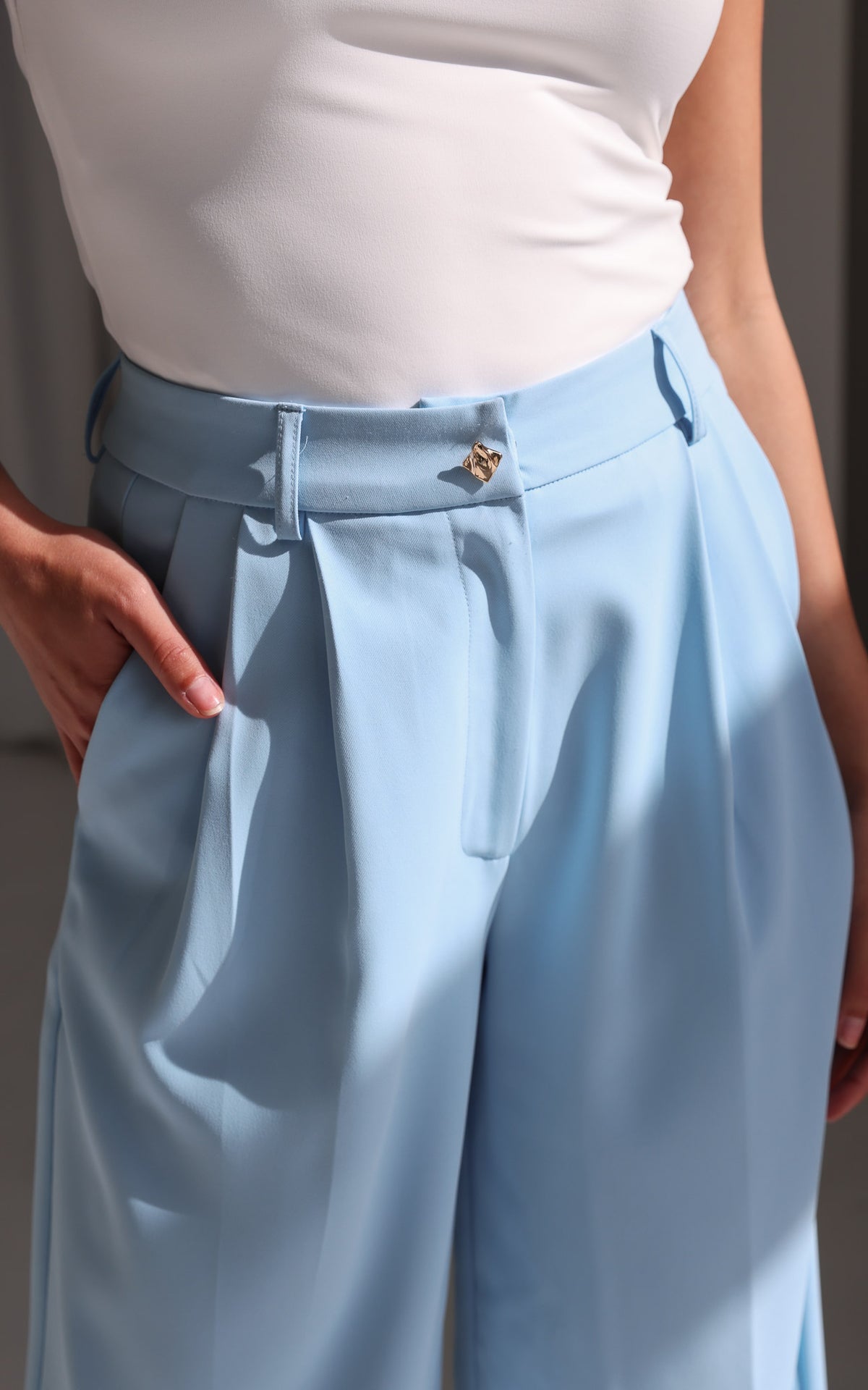 Carson Wide Leg Pants - Baby Blue