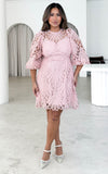 Fayette Lace Mini Dress - Light Blush