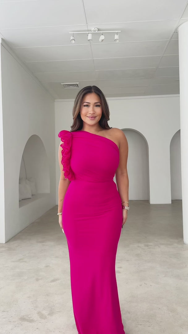 Amelio Mesh Maxi Dress - Magenta Pink